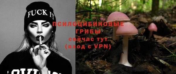 спиды Беломорск