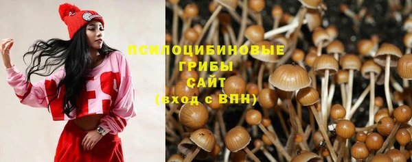 спиды Беломорск