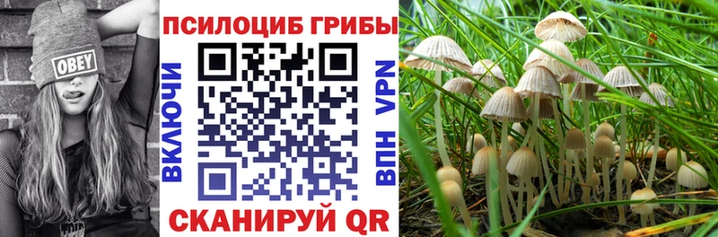 Галлюциногенные грибы MAGIC MUSHROOMS Киров